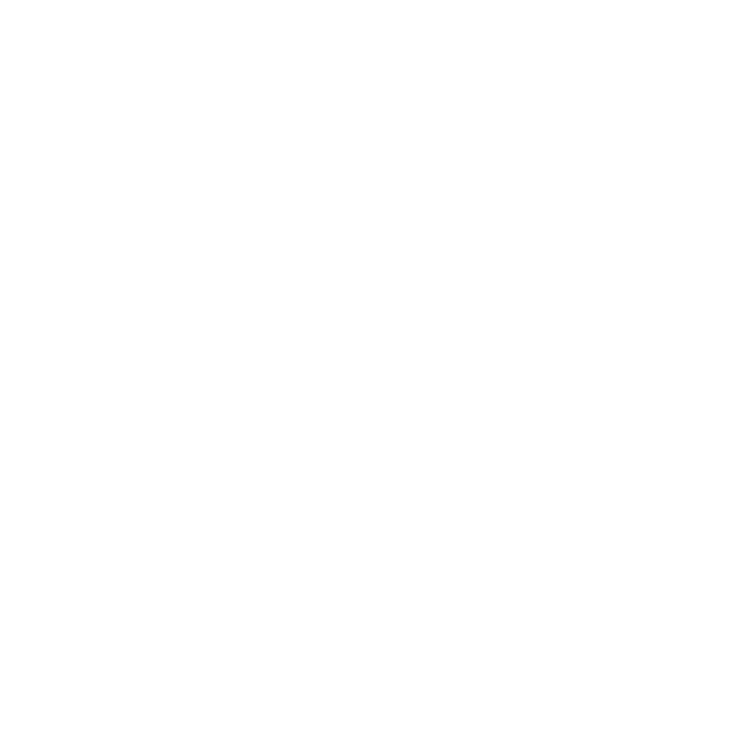 MERO Express Logo